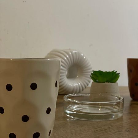 Fenix Apartman II Zaječar Buitenkant foto