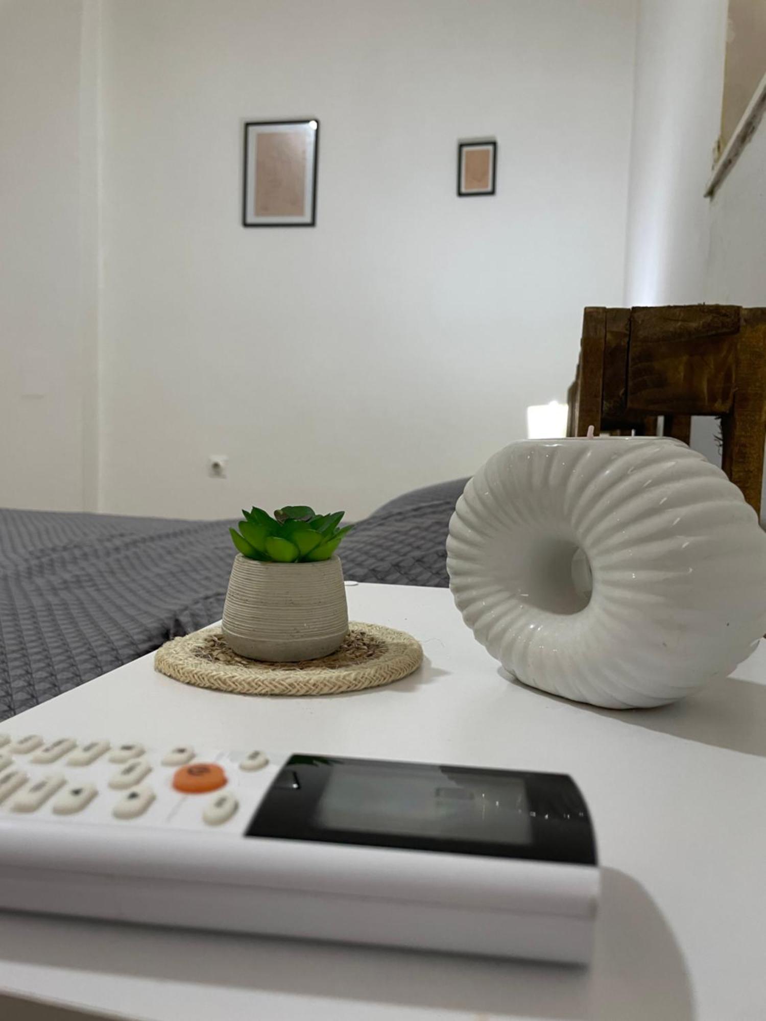 Fenix Apartman II Zaječar Buitenkant foto