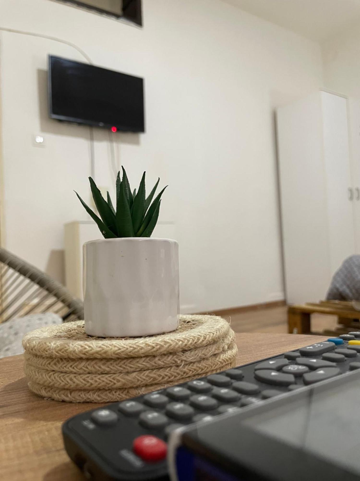 Fenix Apartman II Zaječar Buitenkant foto