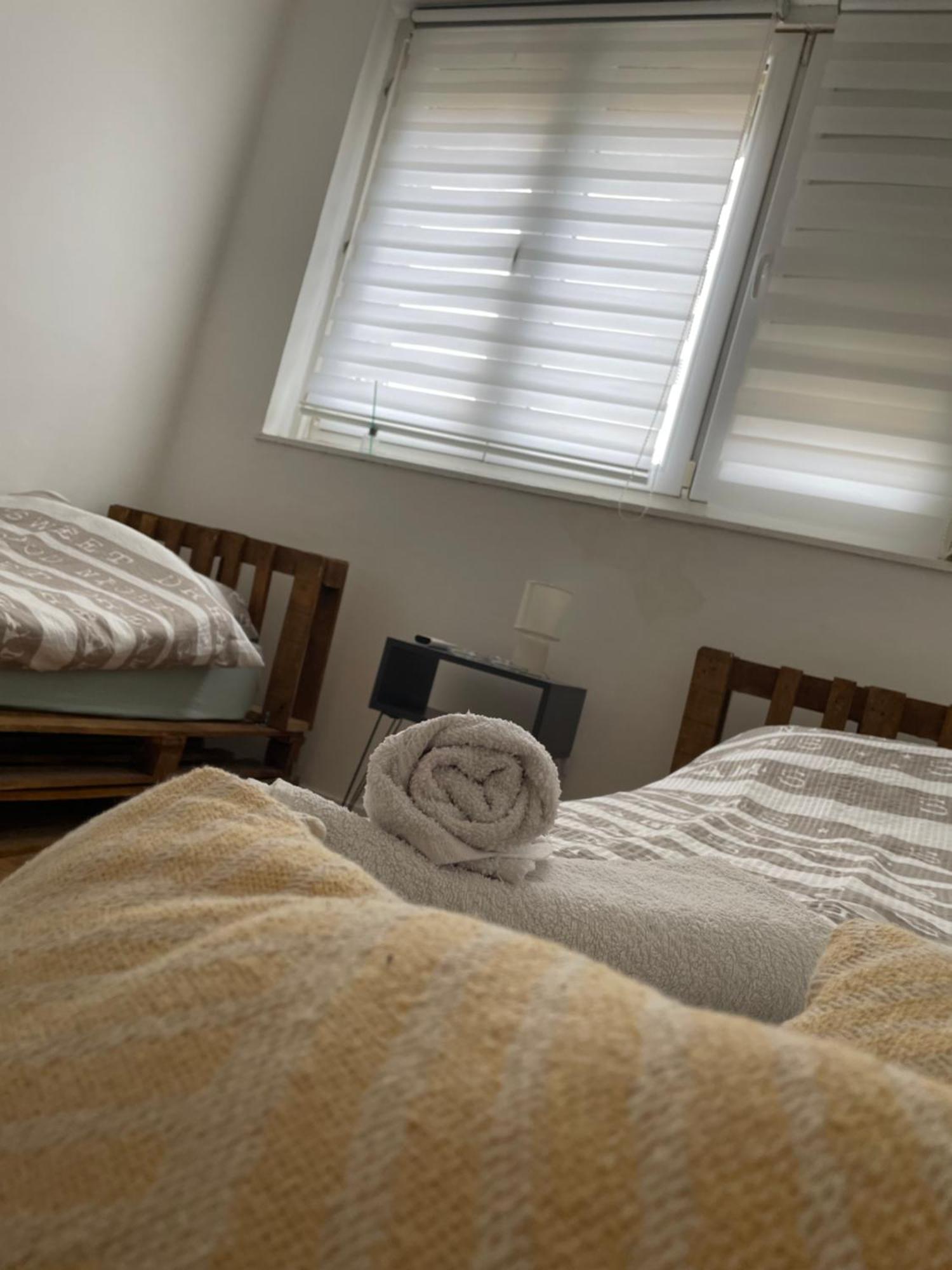Fenix Apartman II Zaječar Buitenkant foto